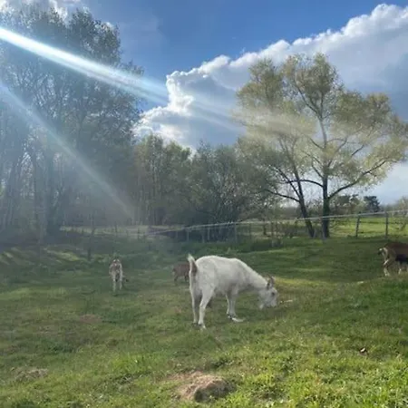 Location Maison - 17150