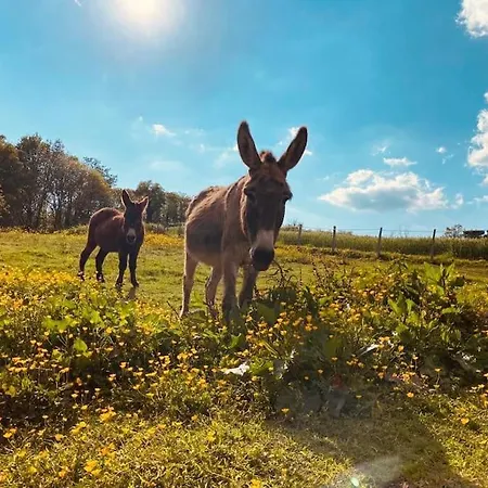 別荘 Location Maison - 17150