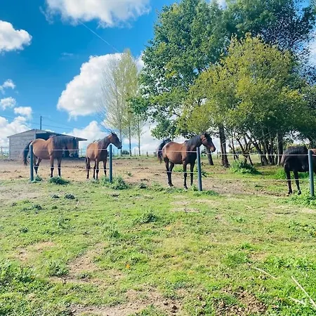 Location Maison - 17150 ミランボー