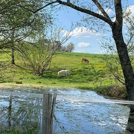 Location Maison - 17150 別荘 *