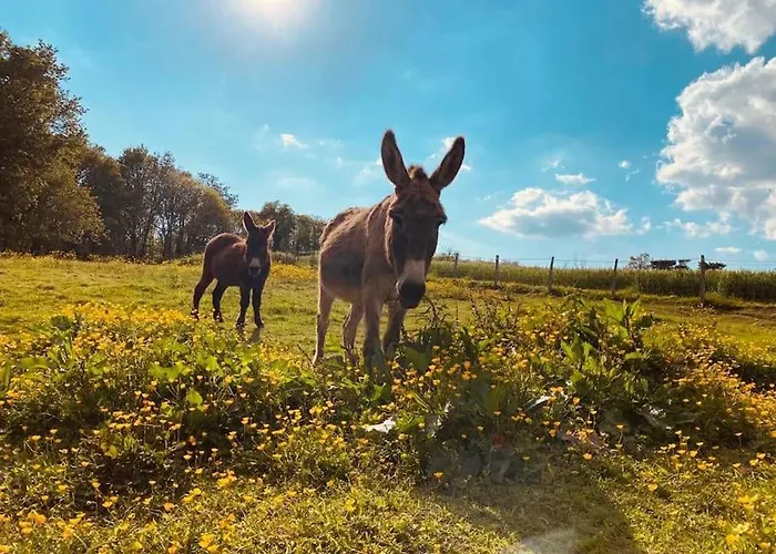 Semesterbostad Location Maison - 17150