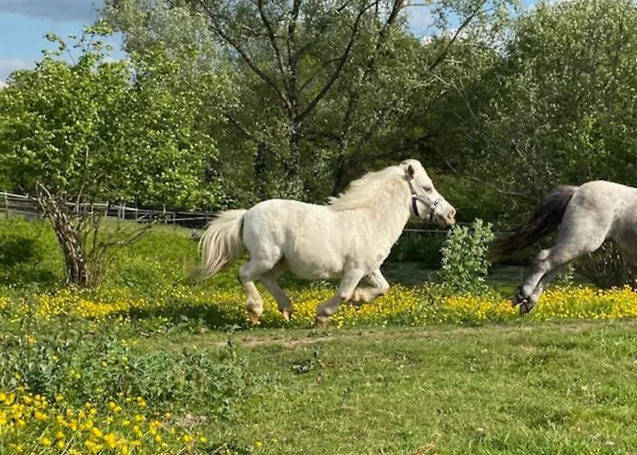 Location Maison - 17150 *